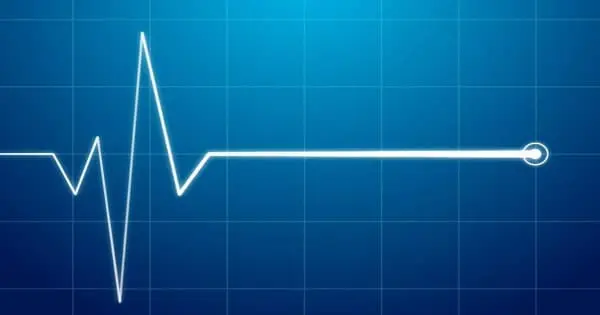 fale elektrokardiograficzne na wyświetlaczu cyfrowym