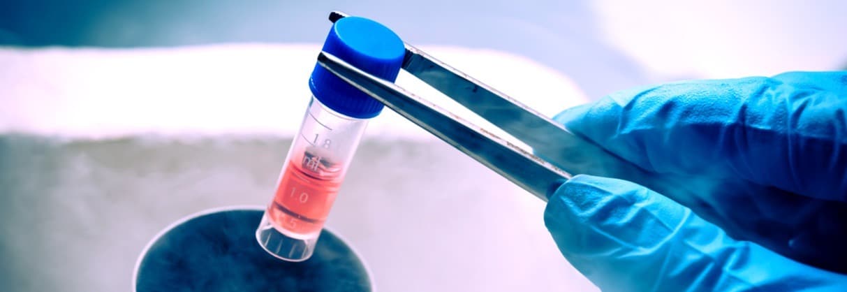 Zdjęcie sprzętu laboratoryjnego